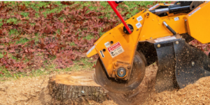 stump removal Adelaide Hills